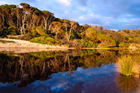 SC104 Saltwater Creek, Ben Boyd National Park NSW